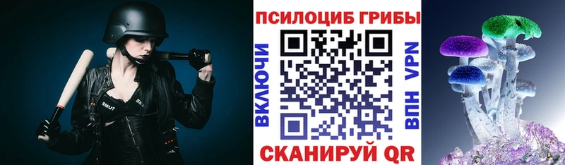 МЕГА   даркнет наркотические препараты  Псилоцибиновые грибы MAGIC MUSHROOMS  Малгобек 