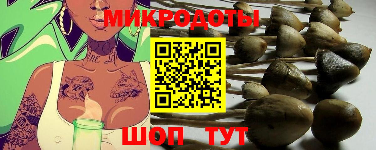 где купить наркоту  Псилоцибиновые грибы Magic Shrooms  Малгобек  Вход с VPN  Псилоцибиновые грибы прущие грибы 
